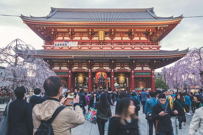 tokyo-private-customizable-half-day-tour
