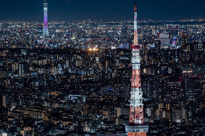 tokyo-private-customizable-one-day-private-trip-with-guide