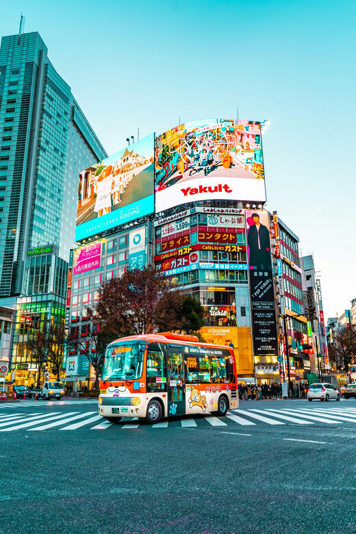 Tokyo: Private & Customizable Tour - All-in-One Experience - Who Should Consider This Tour?