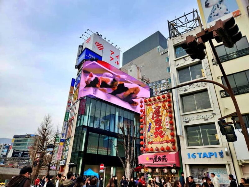 Tokyo: Private & Customizable Tour - All-in-One Experience - FAQ