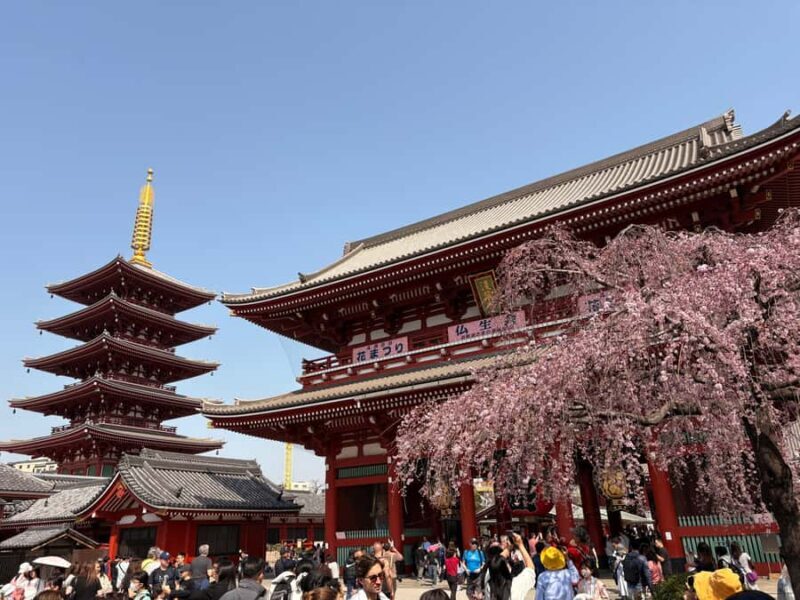 Tokyo: Private Customizable Tour by Car with Local Guide - Why Choose a Private Car Tour in Tokyo?