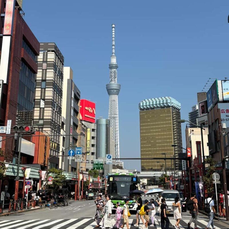 Tokyo: Private Customizable Tour by Car with Local Guide - Transport & Convenience