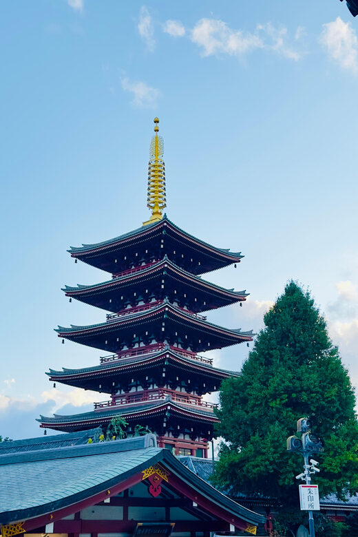 Tokyo: Private & Customizable Tour W/English Speaking Guide - Final Thoughts