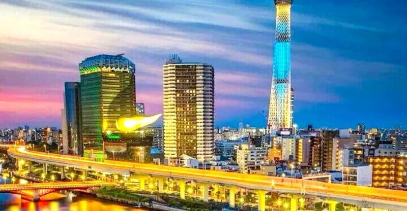 Tokyo Private Customizable Tour with a Local Guide - Discover Tokyo Through a Private, Customizable Tour with a Local Guide