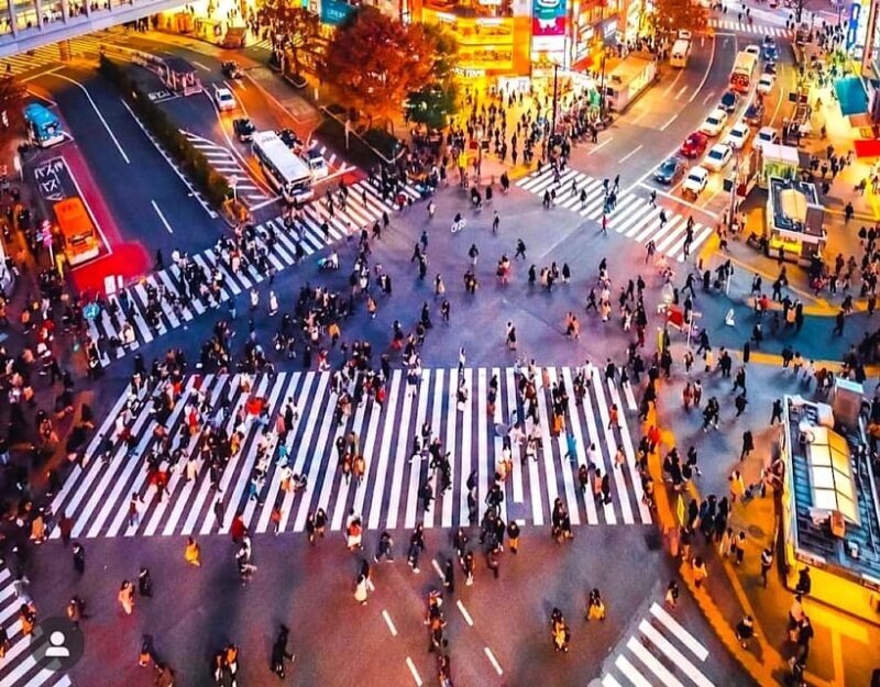 Tokyo Private Customizable Tour with a Local Guide - The Practicalities: What to Expect