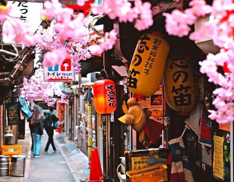 Tokyo Private Customizable Tour with a Local Guide - Real Traveler Insights and Tips