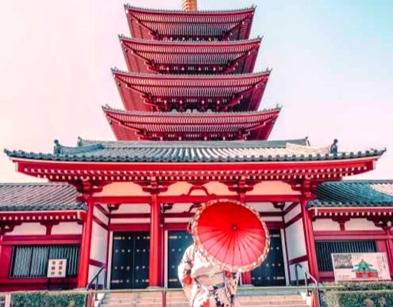 Tokyo Private Customizable Tour with a Local Guide - Who Might Want to Consider Other Options?