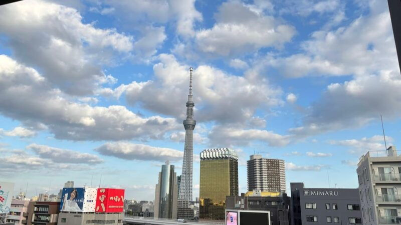 tokyo-private-customizable-tour-with-a-local-guide