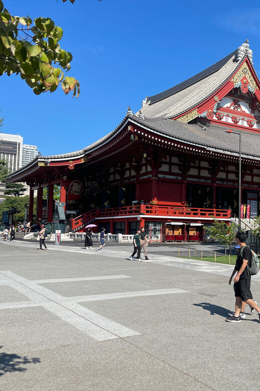 Tokyo Private Customize Tour With English Speaking Driver - Who Will Love This Tour?  