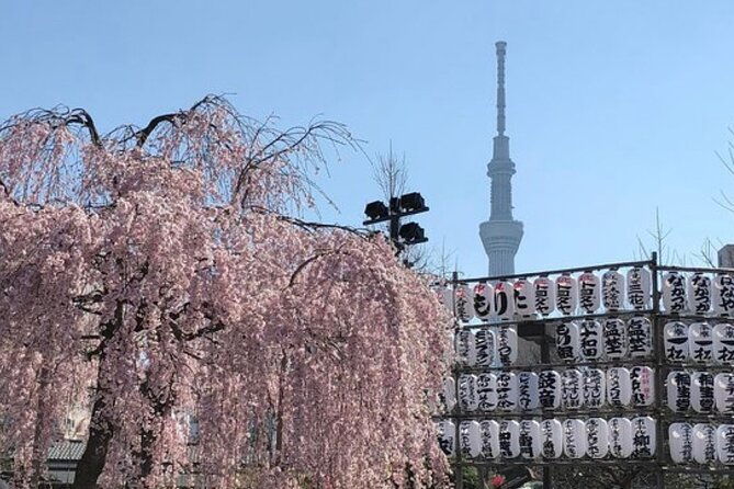 tokyo-private-day-tour-by-car-with-english-speaking-driver-guide-2