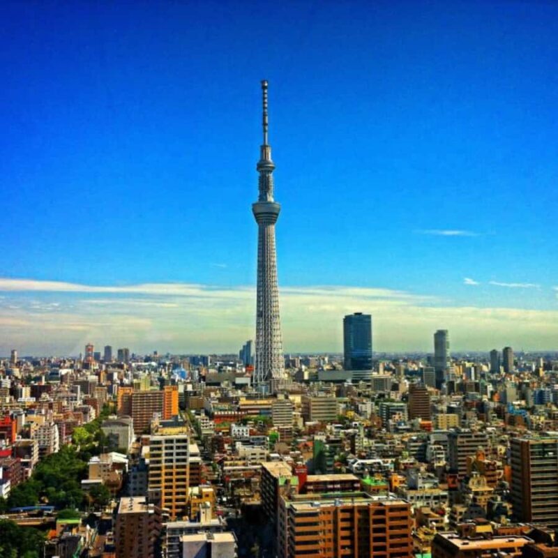 Tokyo Private Day Tour By English Speaking Driver Customised - Who This Tour Is Best For