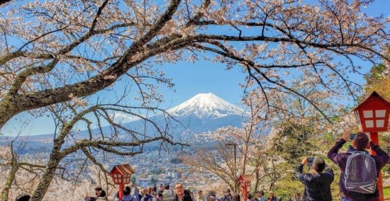 Tokyo: Private Day Trip to Mount Fuji and Hakone - Practical Details and Insights