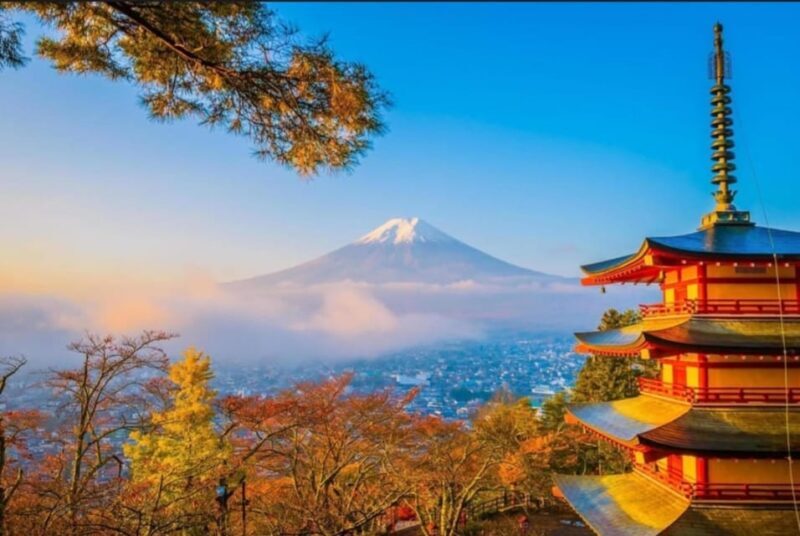 Tokyo: Private Day Trip to Mount Fuji and Hakone - FAQ