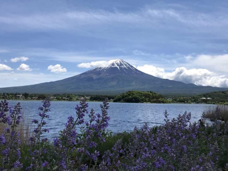 Tokyo: Private Day Trip to Mount Hakone and Lake Ashi - Key Points