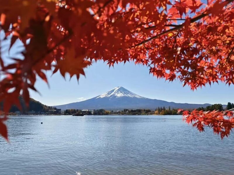 Tokyo: Private Day Trip to Mount Hakone and Lake Ashi - Introduction: Why This Tour Stands Out