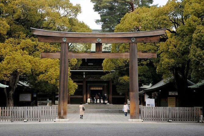 tokyo-private-day-trip-with-english-professional-guide