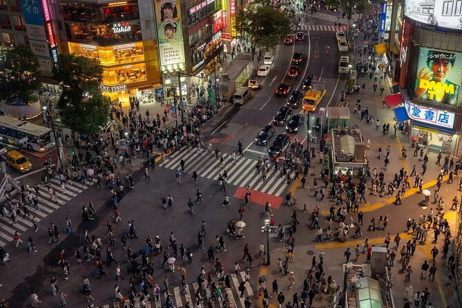 tokyo-private-day-trip-with-english-professional-guide