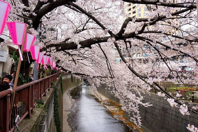 tokyo-private-day-trip-with-english-professional-guide