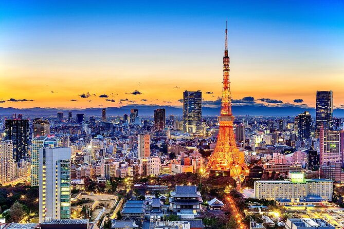 tokyo-private-driving-tour-by-car-van-english-speaking-chauffeur