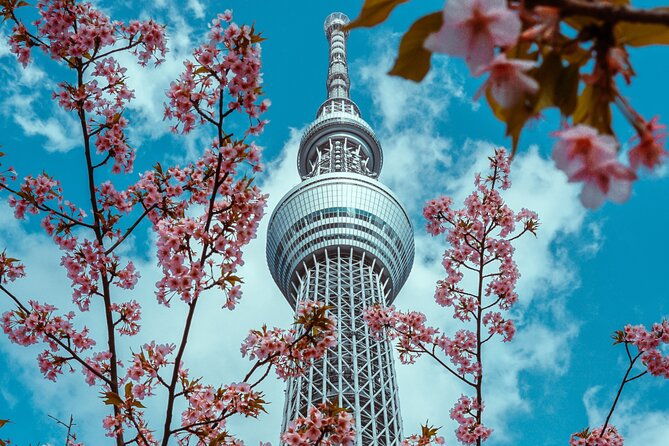 tokyo-private-driving-tour-by-car-van-english-speaking-chauffeur