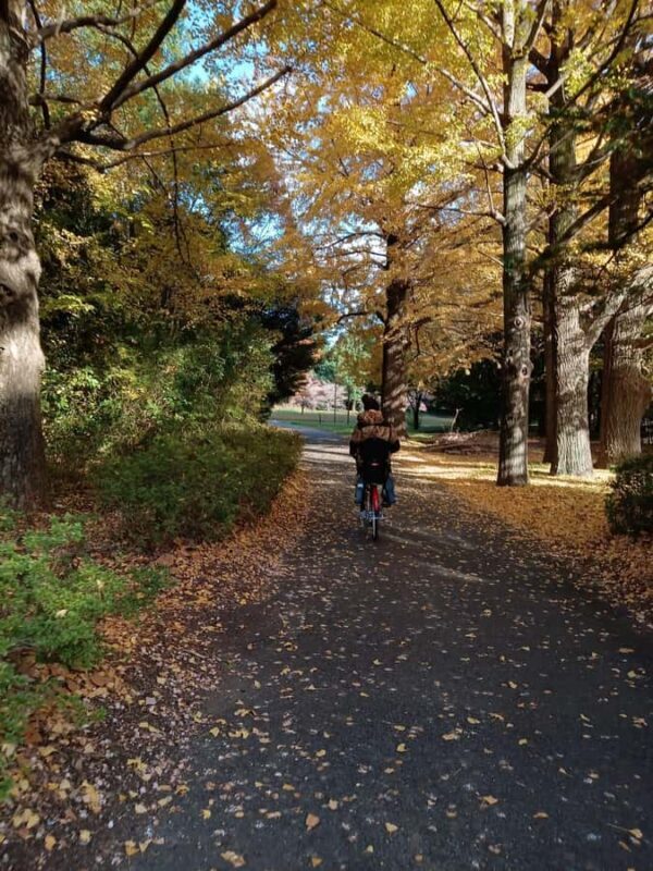 Tokyo: Private Family Park Tour with Couple Alone Time - Key Points