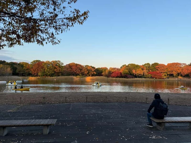 Tokyo: Private Family Park Tour with Couple Alone Time - Exploring Tokyo’s Largest Park: What to Expect