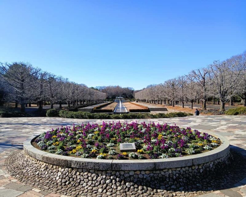 Tokyo: Private Family Park Tour with Couple Alone Time - Who Should Consider This Tour?