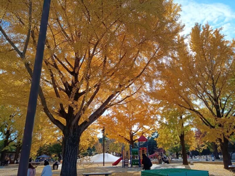 Tokyo: Private Family Park Tour with Couple Alone Time - FAQs