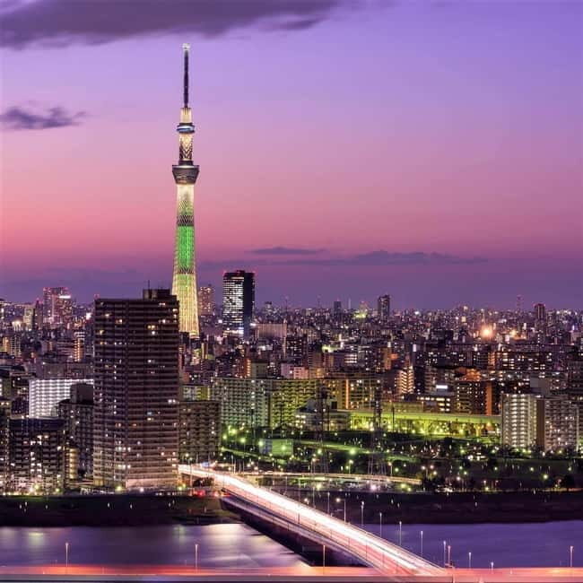 Tokyo: Private Full day Guided Tour with an English Driver - Who Should Consider This Tour?
