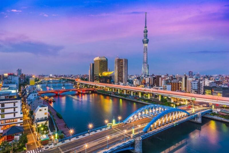 Tokyo: Private Full-Day Sightseeing Tour with English Driver - Exploring Tokyo in a Day: What You Can Expect