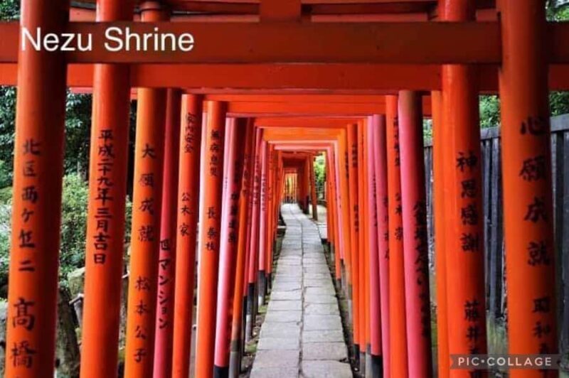 Tokyo: Private Full-Day Sightseeing Tour with Hotel Pickup - The Full Breakdown of the Tokyo Private Full-Day Tour