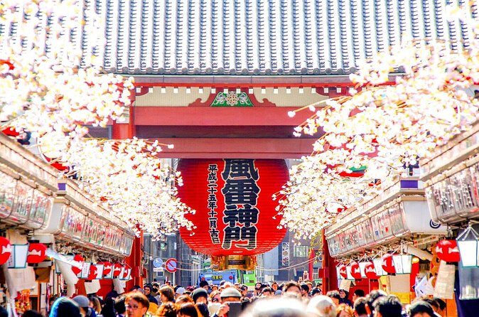 Tokyo Private Group Tour Flexible Schedule and Stops - Who Would Love This Tour?