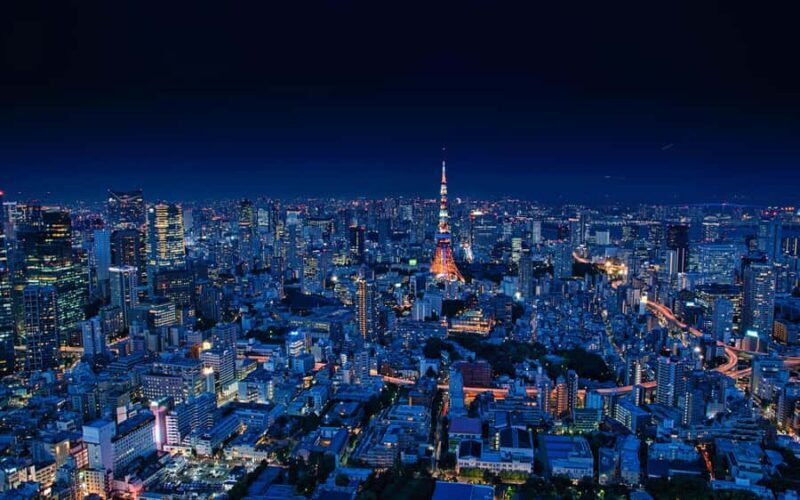 Tokyo Private Guided City Highlight Tour with Local Insights - Who Would Love This Tour?