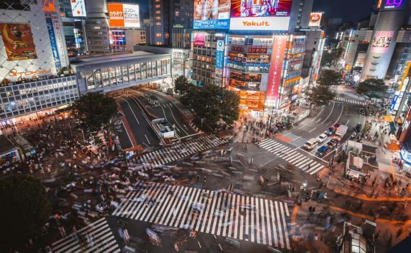 Tokyo Private Guided City Highlight Tour with Local Insights - FAQs