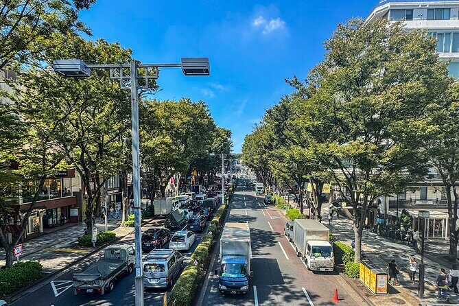 Tokyo Private Guided Day Tour with Private Vehicle Hotel Pickup - Key Points