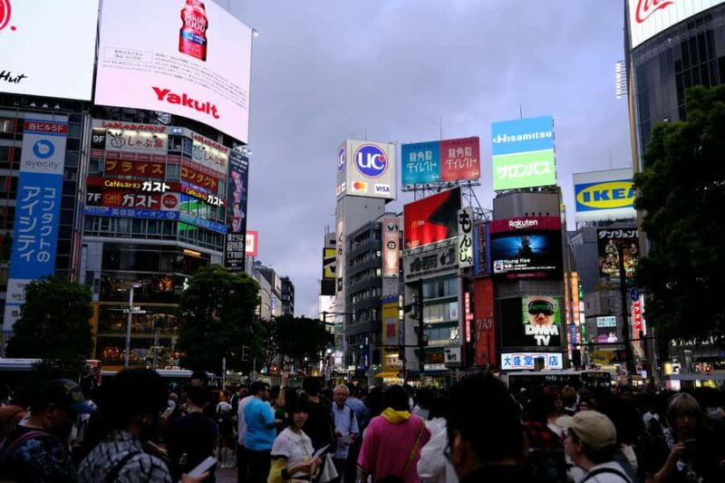 Tokyo: Private Guided Tour with a Local - Practical Details and Tips