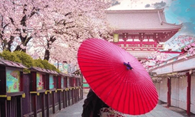 Tokyo: Private Guided Tour with Hotel Pickup and Drop-off - Final Thoughts