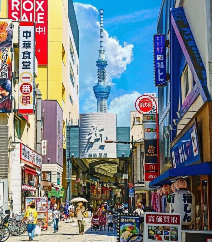 Tokyo: Private Guided Tour with Hotel Pickup and Drop-off - An Overview of the Tour Experience