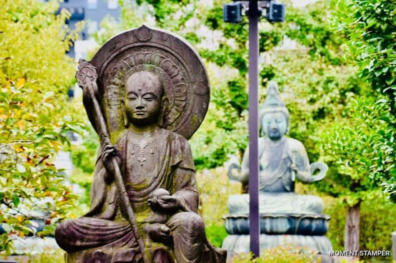 Tokyo: Private Guided Tour with Hotel Pickup and Drop-off - The Experience of the Guide