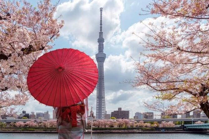 tokyo-private-guided-tour-with-hotel-pickup-and-drop-off