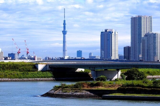 tokyo-private-guided-tour-with-hotel-pickup-and-drop-off