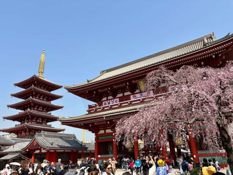 Tokyo: Private Half-Day Highlights Tour by Car with Guide - Key Points