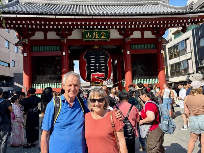 Tokyo: Private Half-Day Highlights Tour by Car with Guide - Who Should Consider This Tour?