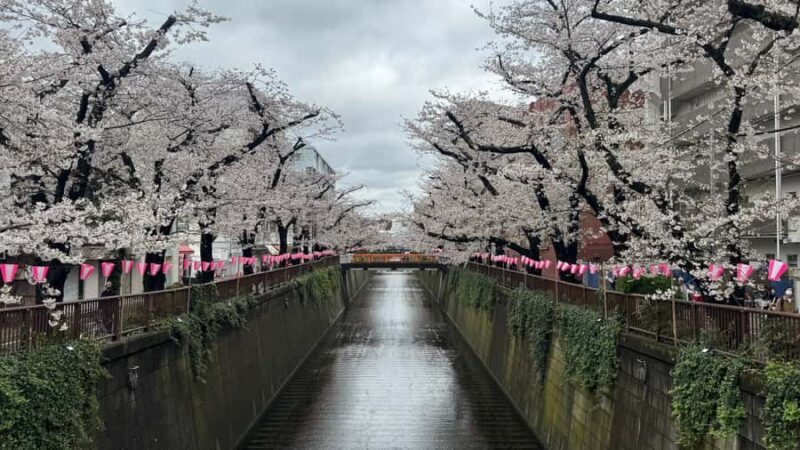 Tokyo: Private Hidden Gems Tour with Hotel Pickup - Key Points