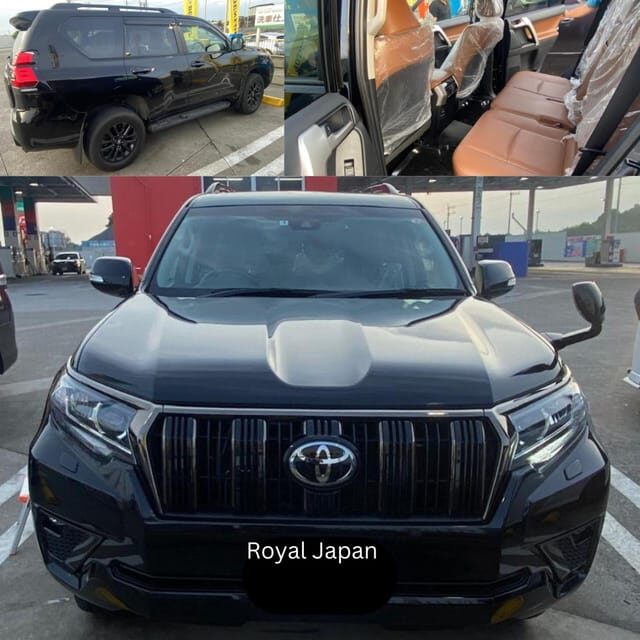 Tokyo: Private Instagramable Customised Tokyo City Day Tour - Authentic Insights from Past Travelers