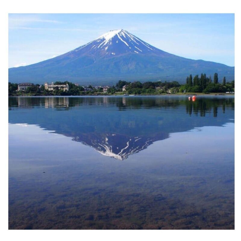 Tokyo: Private Instagramable Day Trip Mt Fuji & Five Lakes - Who Would Love This Tour