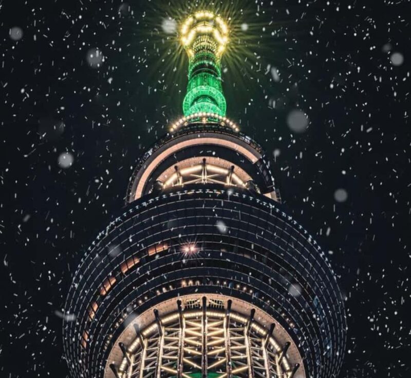 Tokyo: Private Izu Peninsula & Shimoda Day Trip - Key Points