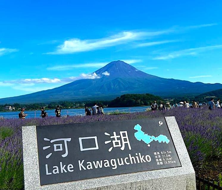 Tokyo: Private Mount Fuji and Hakone Day Trip with Guide - Key Points