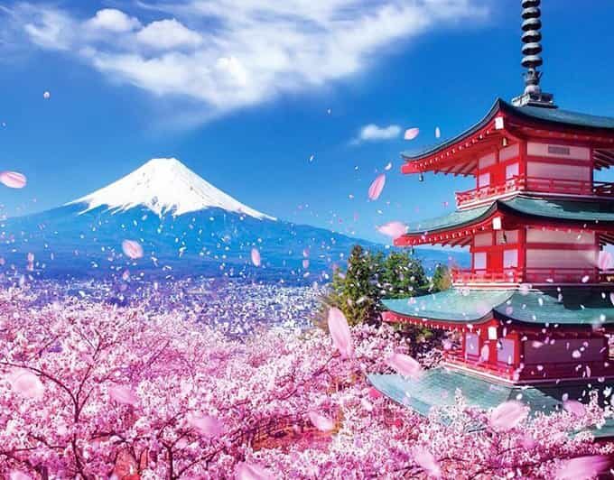 Tokyo: Private Mount Fuji and Hakone Day Trip with Guide - What You Can Expect on This Tour