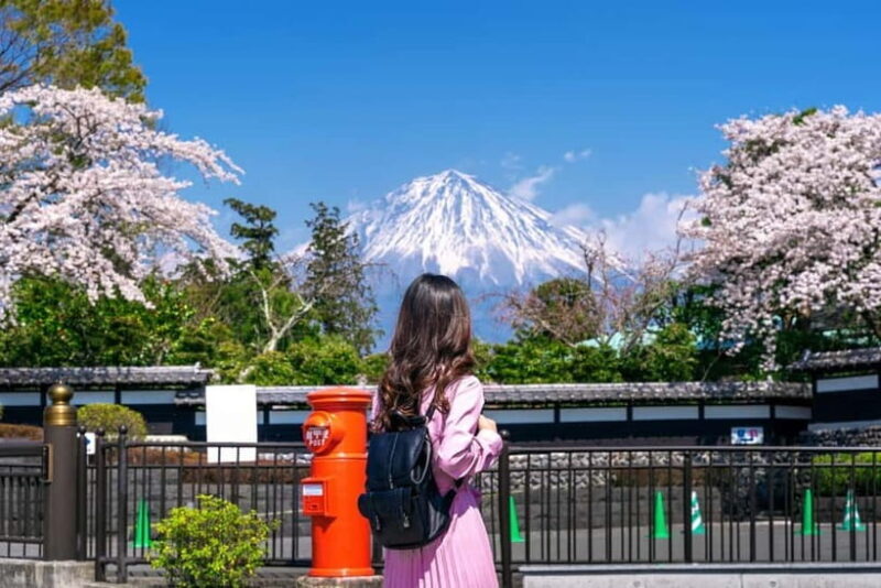 Tokyo: Private Mount Fuji Day Trip with Private Guide - Key Points